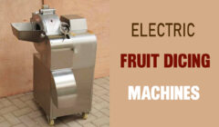 Fruit Dicing Machine