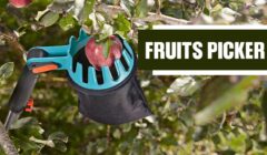 Fruits Picker