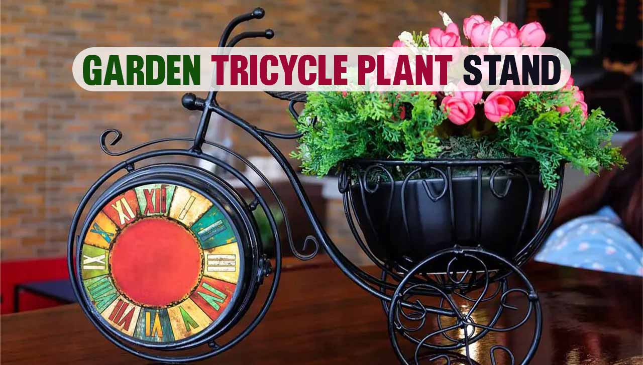Pedal Your Way to a Beautiful Garden with a Tricycle Plant Stand