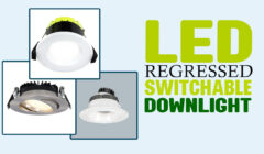 LED Regressed Switchable Downlight