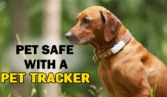 Pet Tracker
