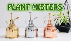 Plant Misters
