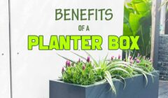 Planter Box