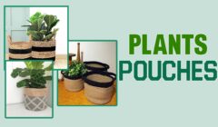 Plants Pouches