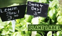 plant label